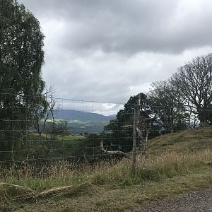 Third goat enclosure