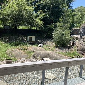 North American River Otter Exhibit
