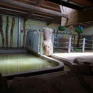 Asian elephant indoor enclose (07/22)