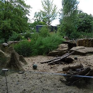 Meerkat enclosure (07/22)