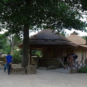 Meerkat enclosure (07/22)