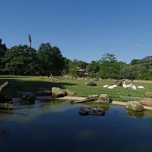 African savannah enclosure (07/22)