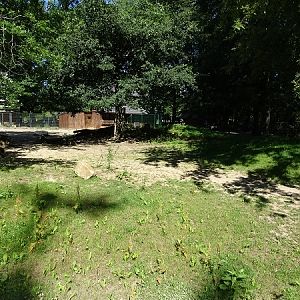 Hartmann's mountain zebra enclosure (07/22)