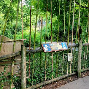 Jul. 2022 - Africa - Eastern White Pelican Exhibit (With Preventative Measures)