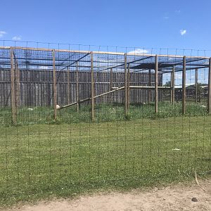 Safari Train Expedition - Jaguar Exhibit