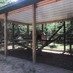 Safari Train Expedition - Crab-Eating Macaque Exhibit