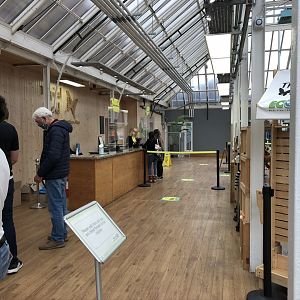 Entrance Area / Reception at Tropical World (July 2020)