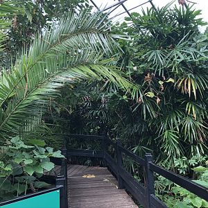 General View of the Butterfly House at Tropical World (July 2020)