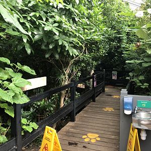 General View of the Butterfly House at Tropical World (July 2020)