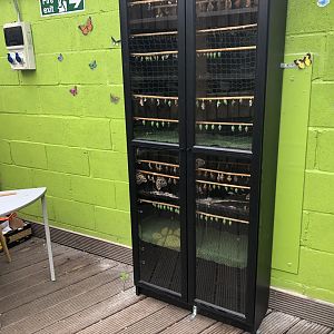 Butterfly Chrysalis House at Tropical World (July 2020)