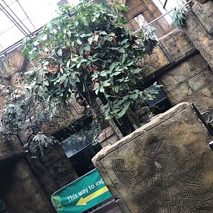 General View of the Aquarium Section at Tropical World (July 2020)