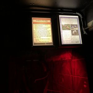 Northern Luzon Giant Cloud Rat Sign at Tropical World (July 2020)