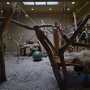 Gorilla indoor enclosure (07/22)