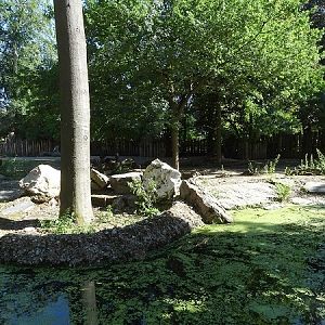 Enclosure for musk ox (07/22)