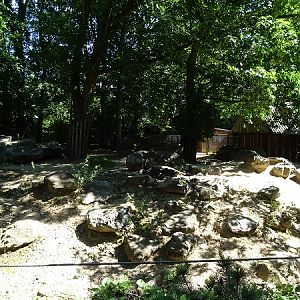 Enclosure for Eurasian forest reindeer (07/22)