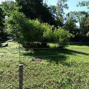 Enclosure for grey kangaroos (07/22)