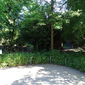 Enclosure for cheetah (07/22)