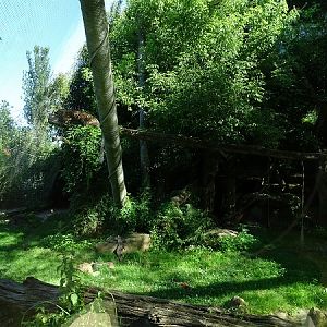 Enclosure for jaguar (07/22)