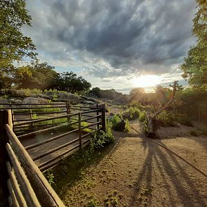 Mountain reindeer enclosure