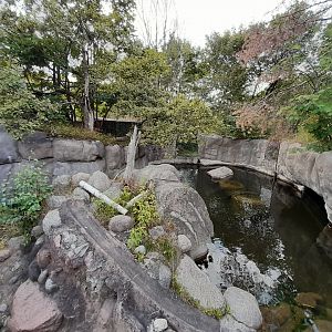Part of Eurasian otter enclosure