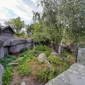 Part of Eurasian otter enclosure