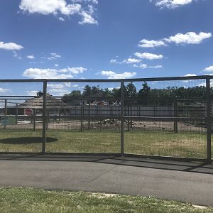 “Africa” - Blue Crane Exhibit