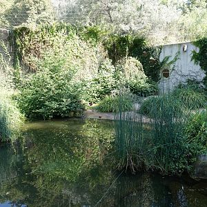 European aviary at the Vogelfreifluganlage