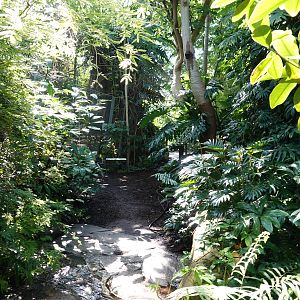 General view of Amazonienhouse