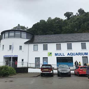 The aquarium