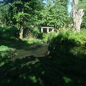 Enclosre for Sumatran tiger (07/22)