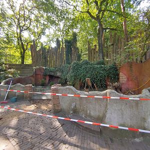 Work at the former coypu enclosure.