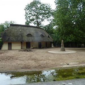 Grèvy zebra enclosure