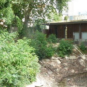 Katzendschungel - Lion enclosure expansion