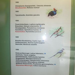 Faust Vogelhallen - Entrance - First (European/world) hatches