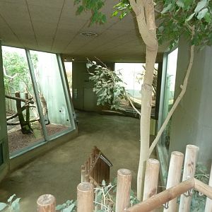 Katzendschungel - View from first floor