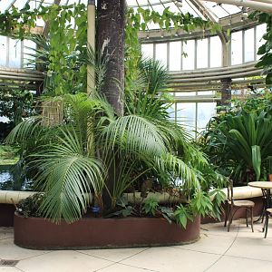 Victoria serre - part of the Riviera hal