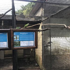 Senegal Parrot Exhibit
