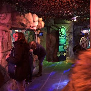 General View of Kingdom of the Seahorse at SEA LIFE Blackpool (2019)