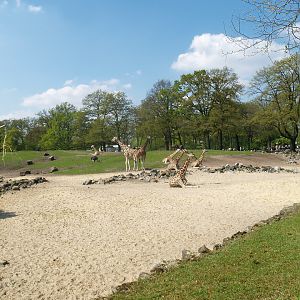 Savanna exhibit, 2009-04-19