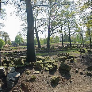 Savanna exhibit, 2009-04-19
