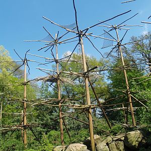 Mantled Colobus exhibit, 2009-04-19