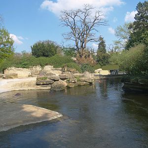 Hippopotamus exhibit, 2009-04-19