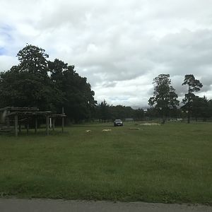 African lion reserve