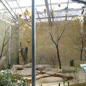 Bird house; smaller African aviary (07/22)