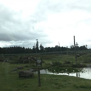 Barbary macaque reserve (5)