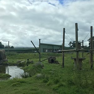 Barbary macaque reserve (6)