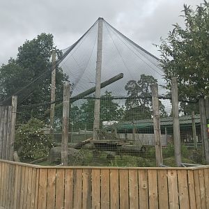 Red ruffed lemur enclosure