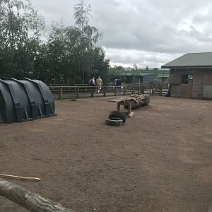 Pets farm- Hard standing enclosure