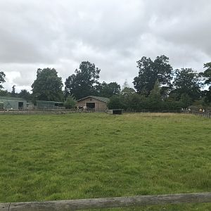 Pets farm- Kunekune pig enclosure