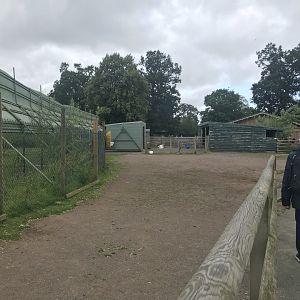 Pets farm- Hard standing enclosure (2)